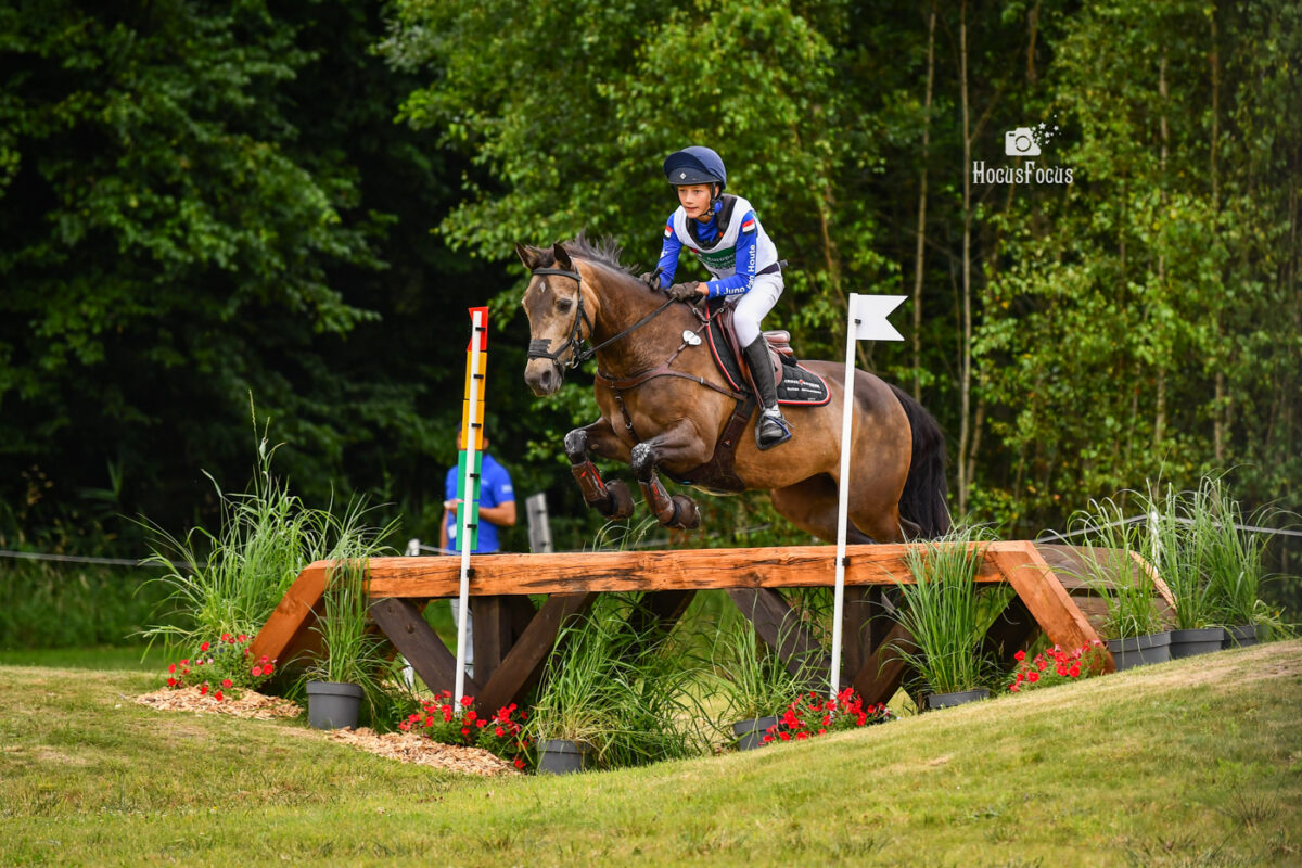 Foto des Ponys Fernhill First Lady