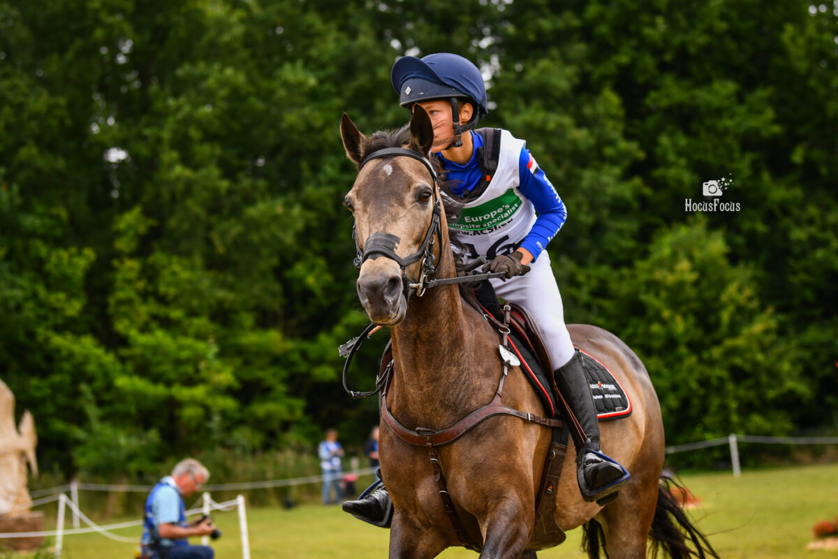 Foto des Ponys Fernhill First Lady