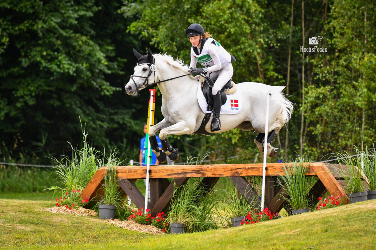 Foto des Ponys Hesteklewa Melanie