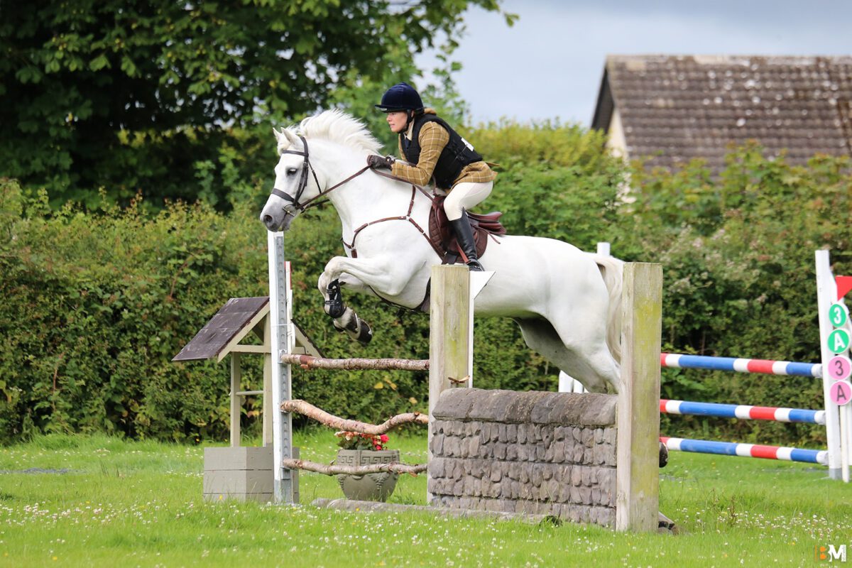 Foto des Ponys Carraun Ferdy