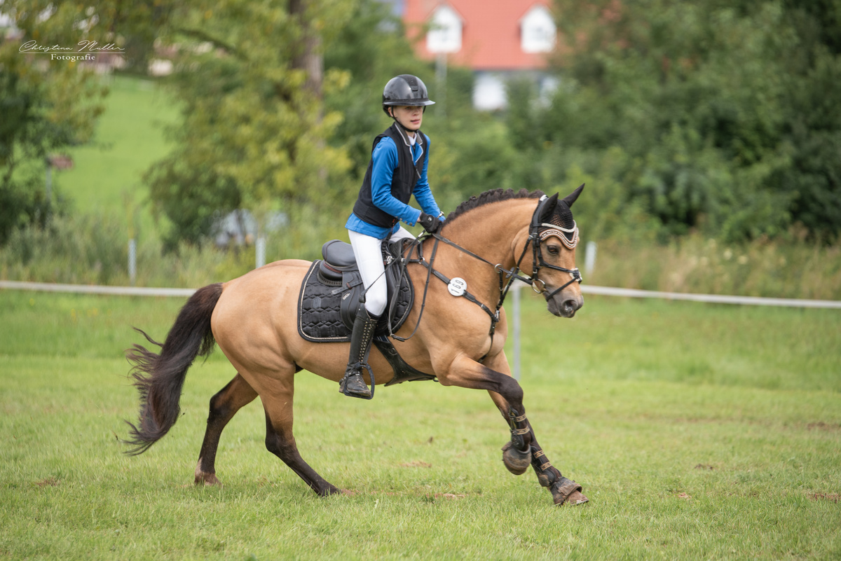 Partbred Champions League 12
