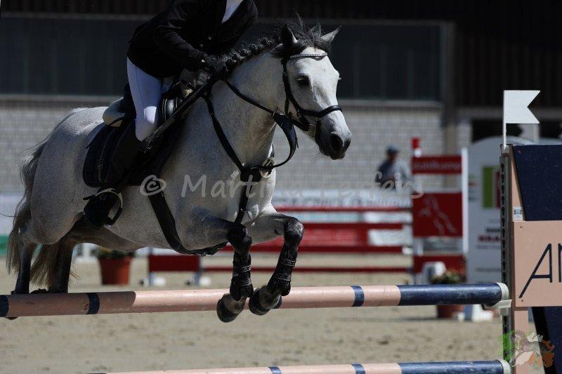 Foto des Ponys Del Janna