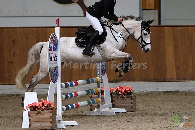 Foto des Ponys Oaclands Angel