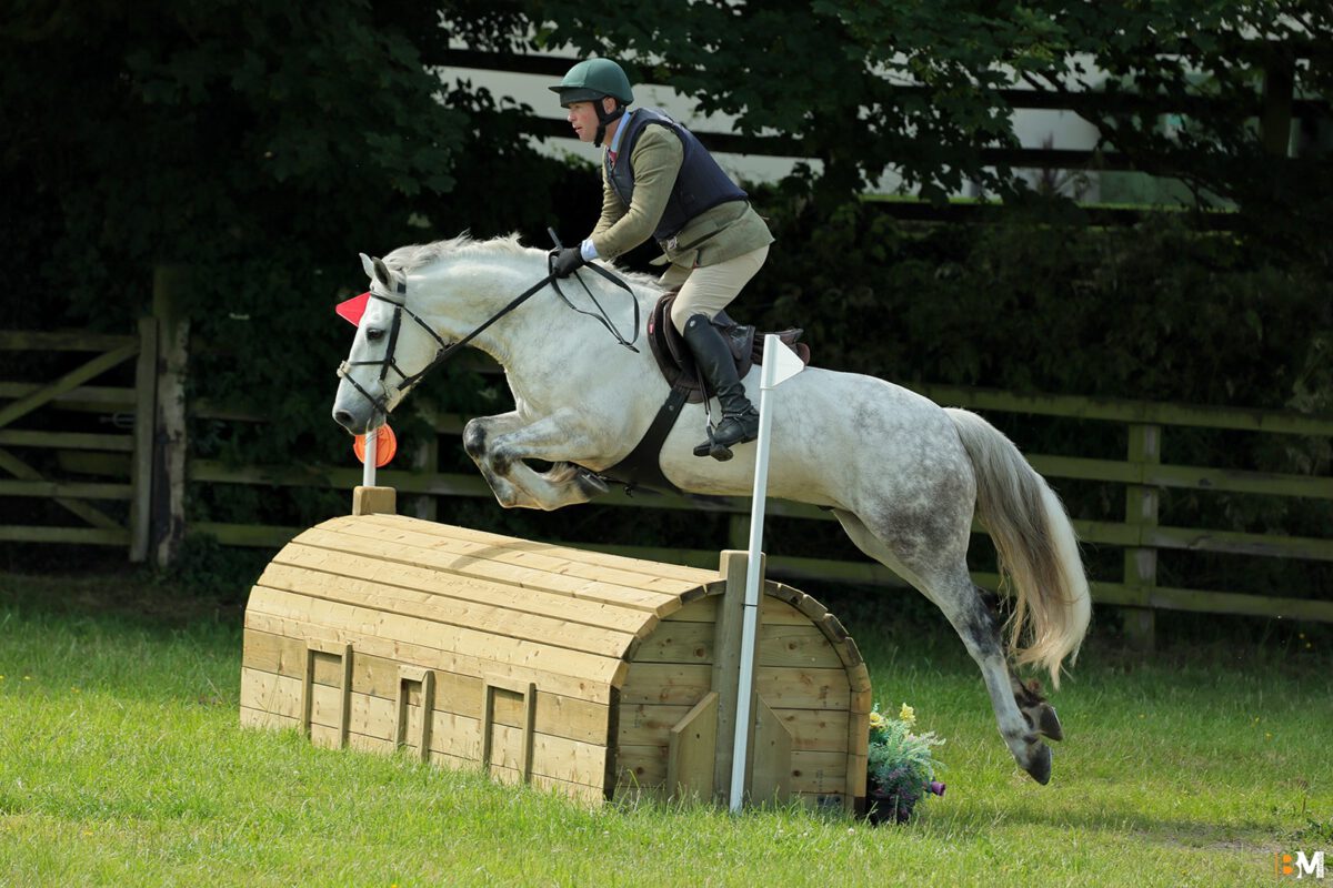 Foto des Ponys Pem Boy