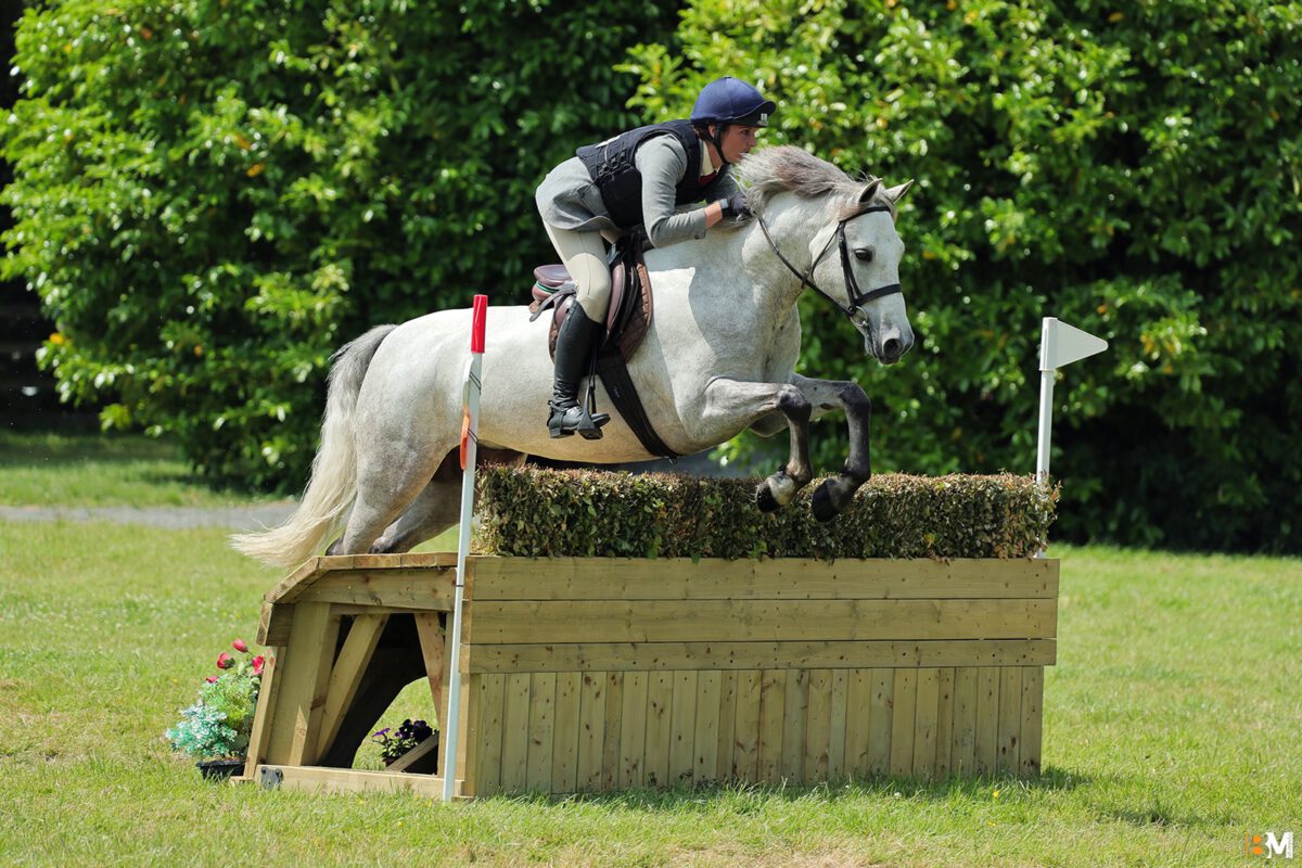 Foto des Pony Pine View Ice Cool