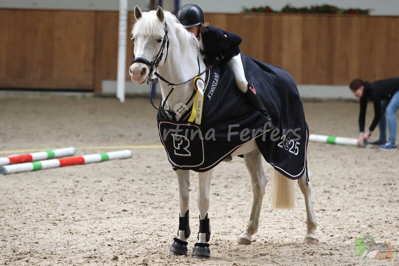 Foto des Ponys Veehaypee du Serein