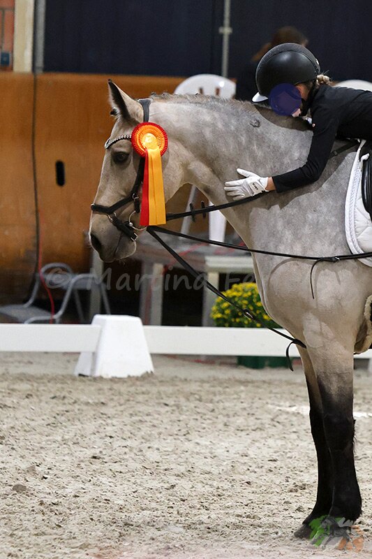 Foto des Ponys Ballylee Lady Mirah