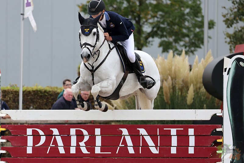 Foto des Ponys Gaoth Mhara Lad