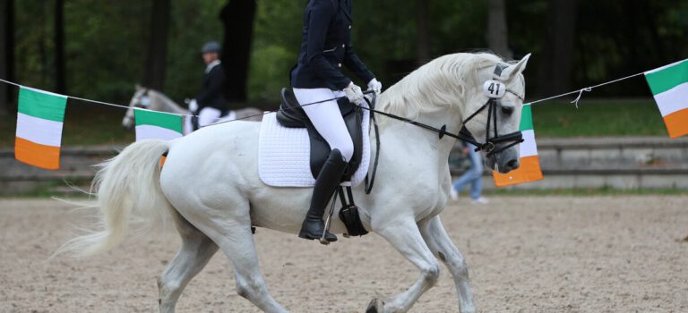 2025-09 September Foto des Ponys Iou'n Me Rhapsody