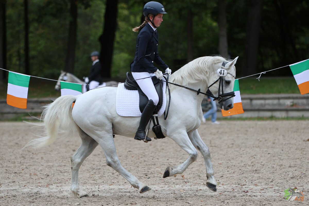 Foto des Ponys Iou'n Me Rhapsody