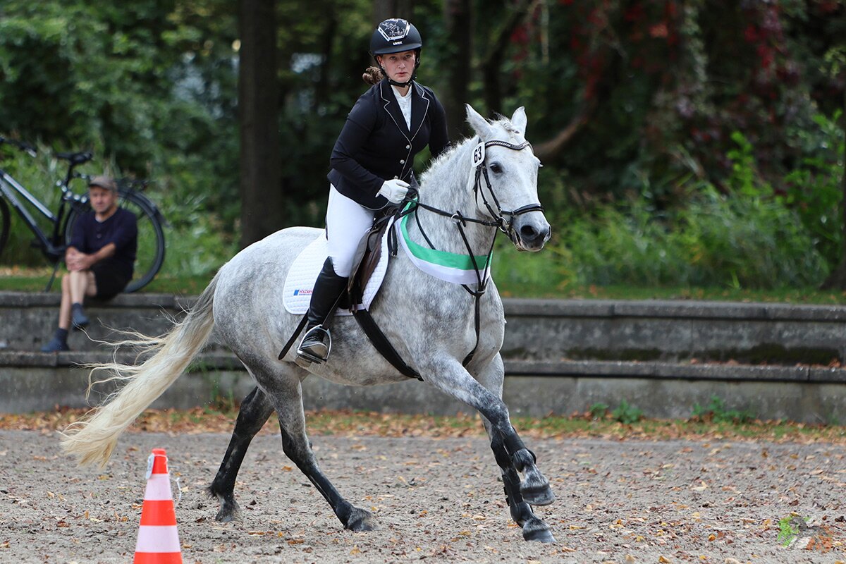 Foto des Ponys Rinneen Silver Lady