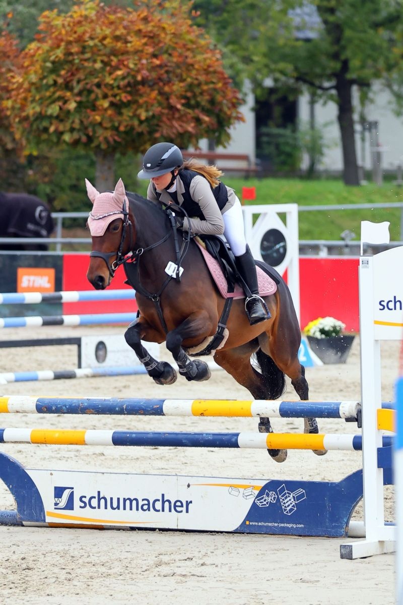 Foto des Ponys Rusty Diamond 3