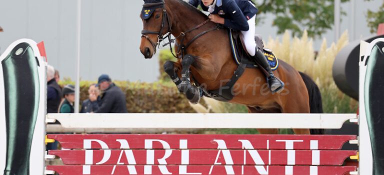 2025-12 Dezember Foto des Ponys Corbeagh Legend