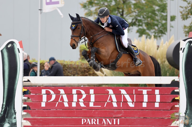 Foto des Ponys Corbeagh Legend