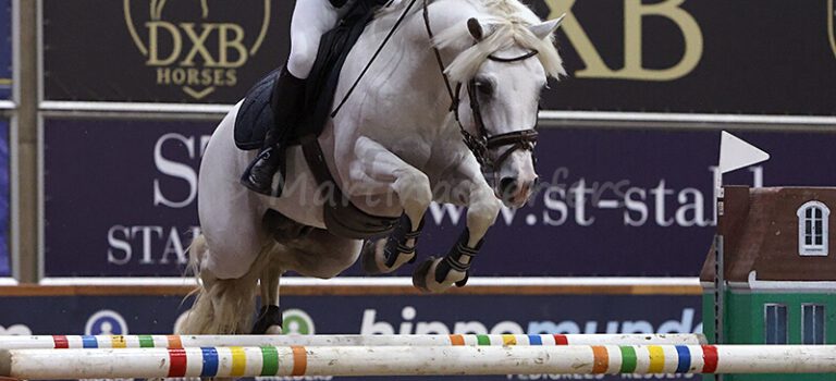 2025-11 November Foto des Ponys Go Fast du Rouget