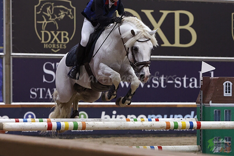 Foto des Ponys Go Fast du Rouget