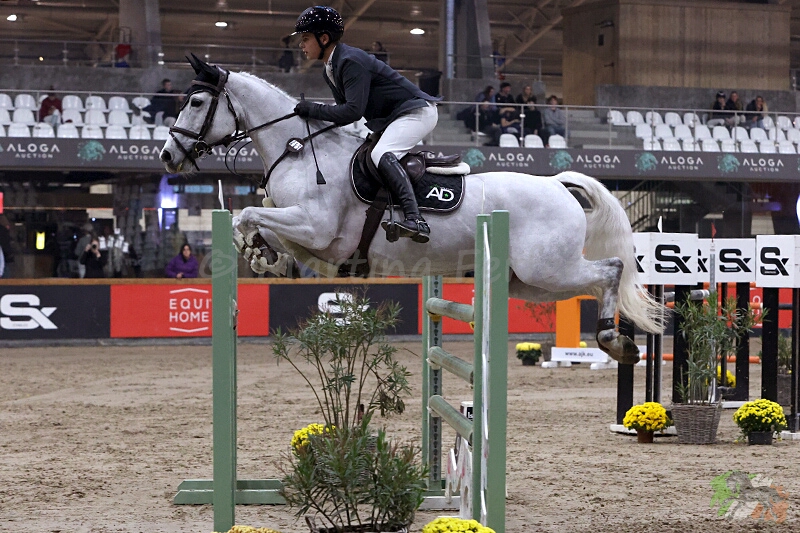 Foto des Ponys PJV Bella