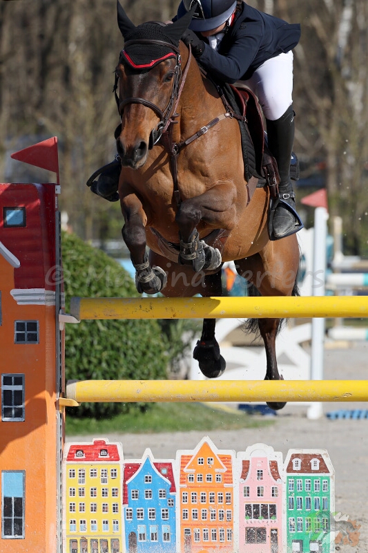 Foto des Ponys Vahine de Kergroix
