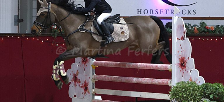 Foto des Ponys Ballylee Villa Lass