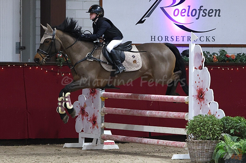 Foto des Ponys Ballylee Villa Lass