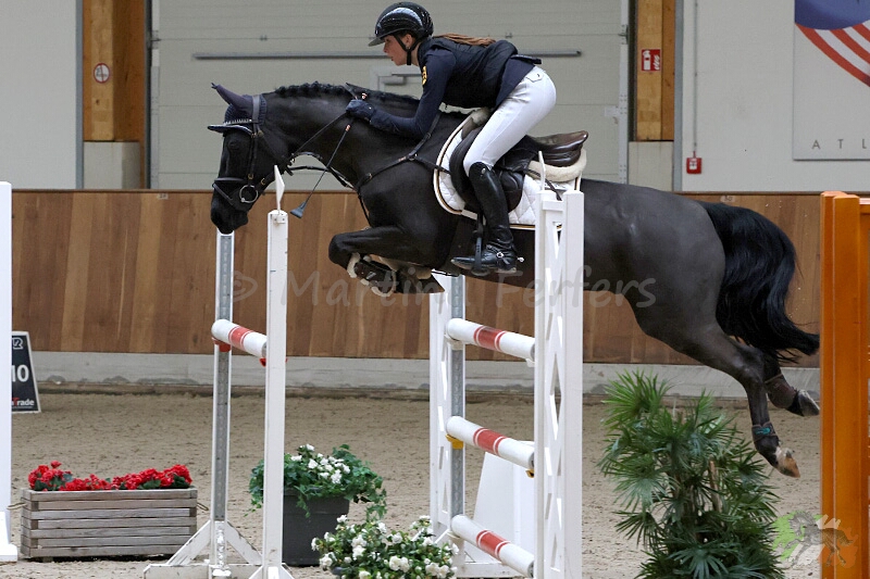 Foto des Ponys Black Jack 200