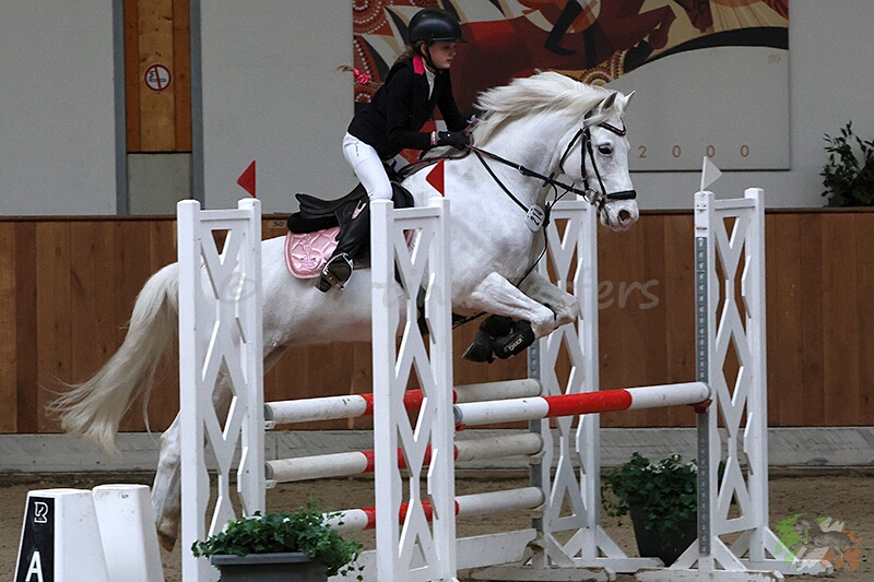 Foto des Ponys Veehaypee du Serein