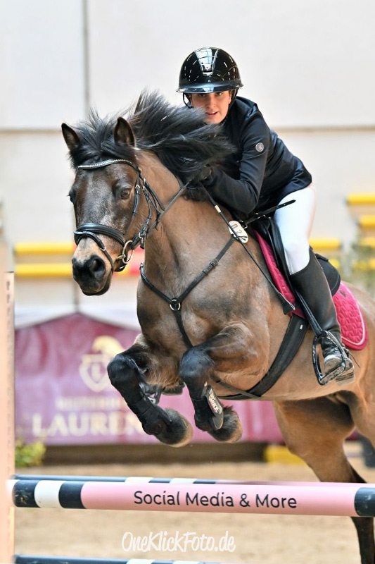 Foto des Pony Ammerhöfs Sherry Dun
