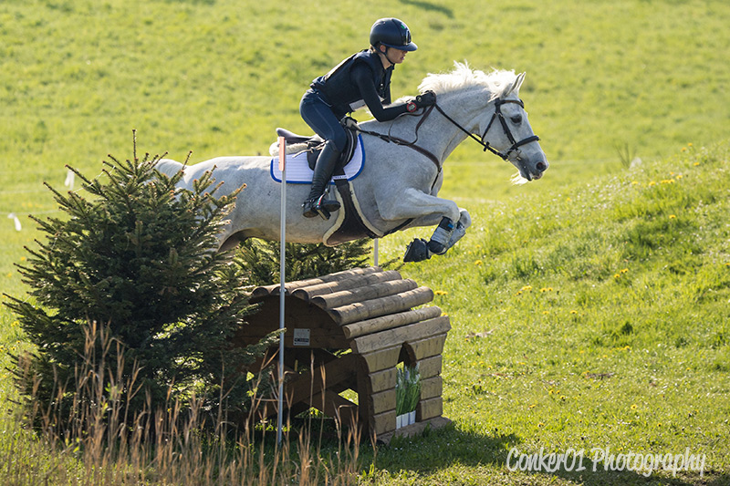 Foto des Ponys Corrnafest Barney