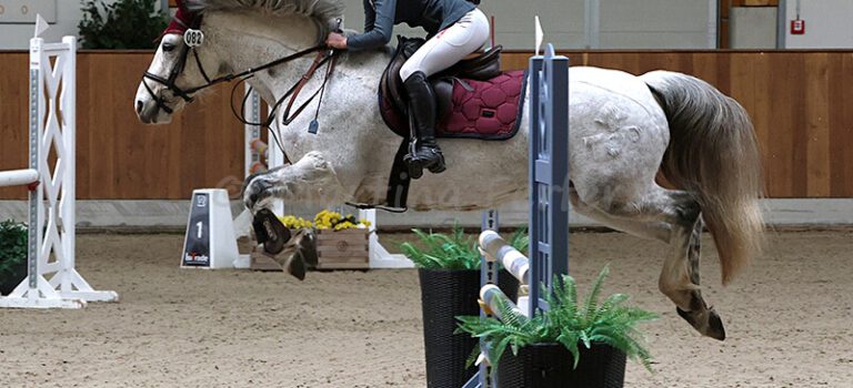 2026-03 März Foto des Ponys Grove Lisanna