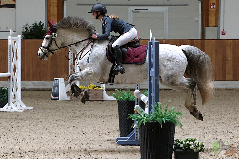 Foto des Ponys Grove Lisanna