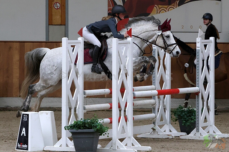 Foto des Ponys Grove Lisanna