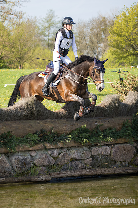 Foto des Ponys Rathcline Dream