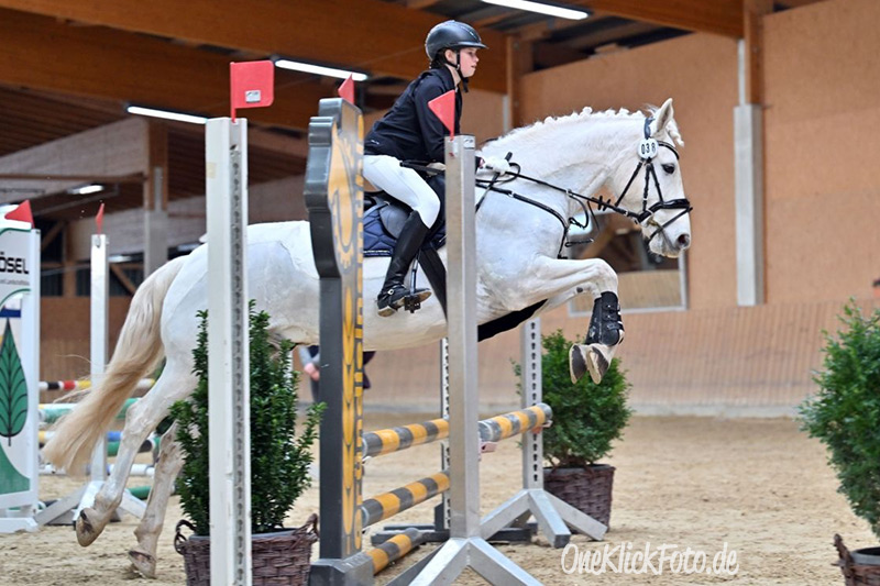 Foto des Ponys White Soxx 3