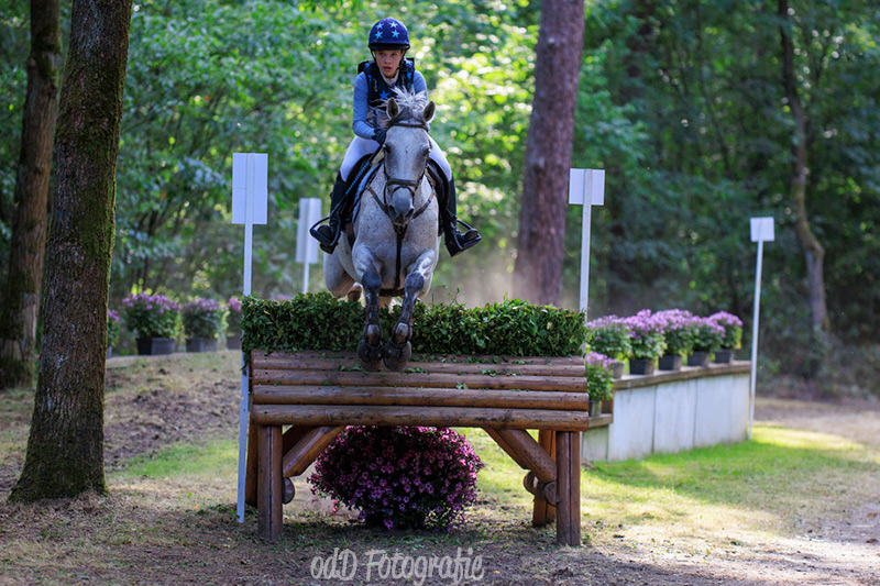 Partbred Summerdale Melody