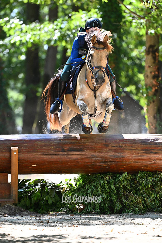 Partbred Holy Spirit d'Elmo