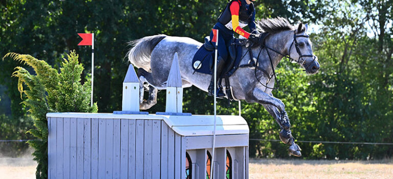 Euro 2026 Connemara Pony Rosemount Shanbo