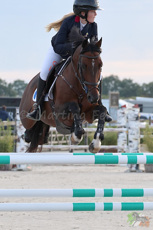 Partbred Espoir du Rond Pre