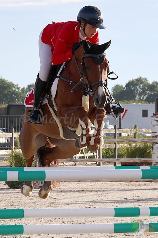 Partbred Inouna Candy