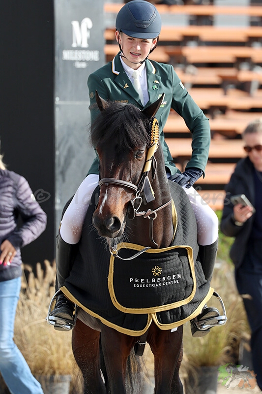 Partbred Kilkillahara Beauty