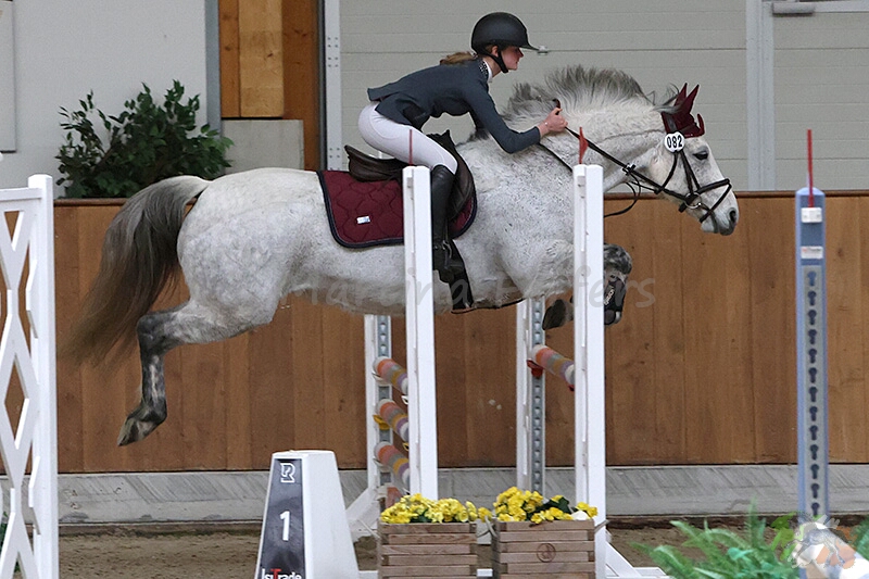 Foto des Ponys Grove Lisanna