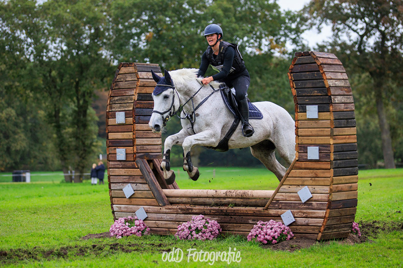 Partbred Gaia vd Zonnehoeve