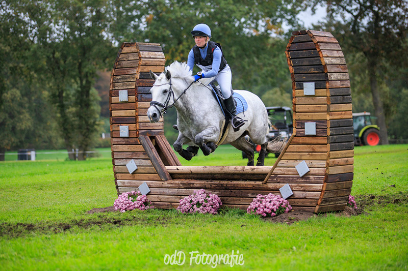 Connemara Pony Moneylagan Victory