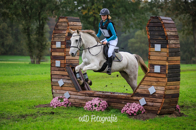 Partbred Romano van de Zonnehoeve
